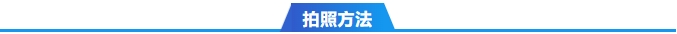 澳门十大正规网站
