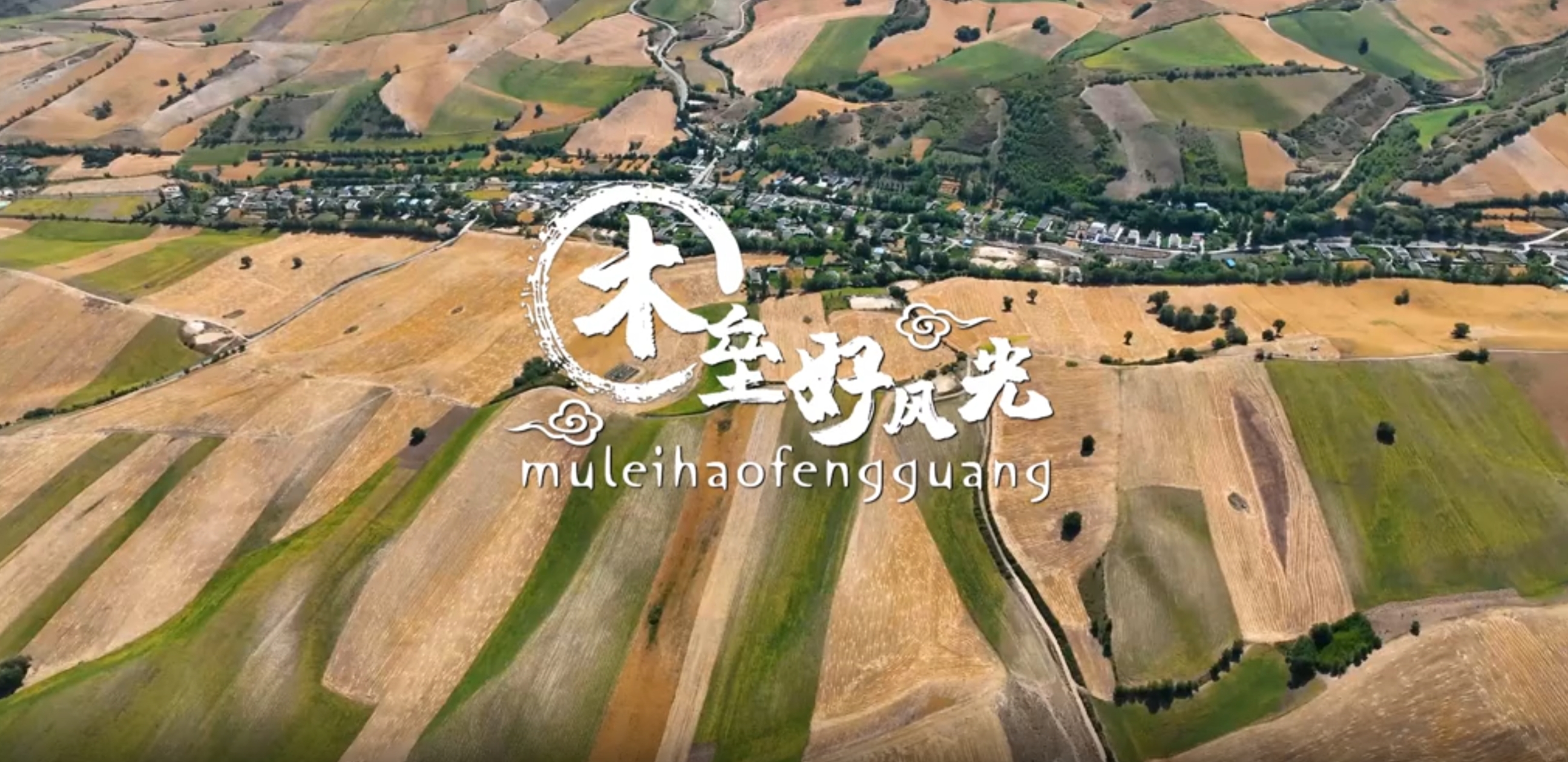 澳门十大正规网站