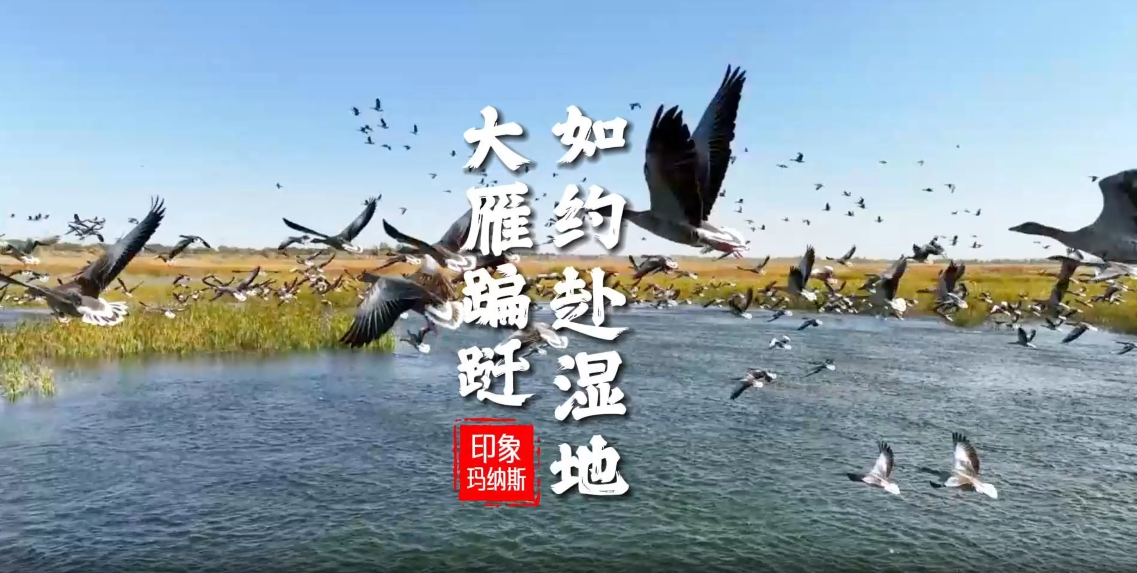 澳门十大正规网站