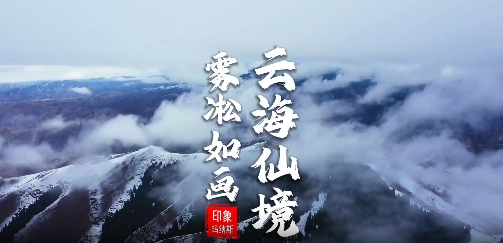 澳门十大正规网站