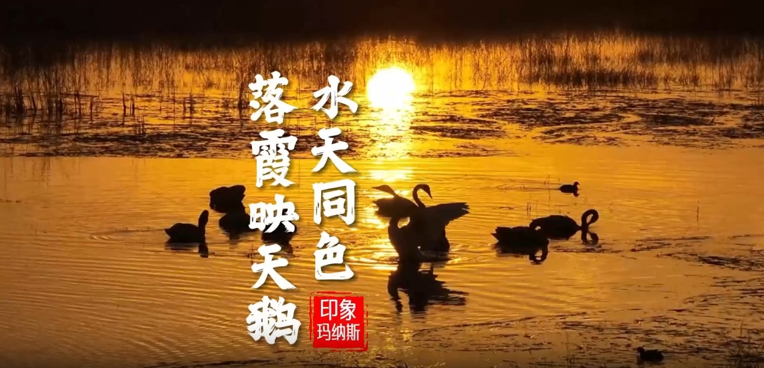 澳门十大正规网站