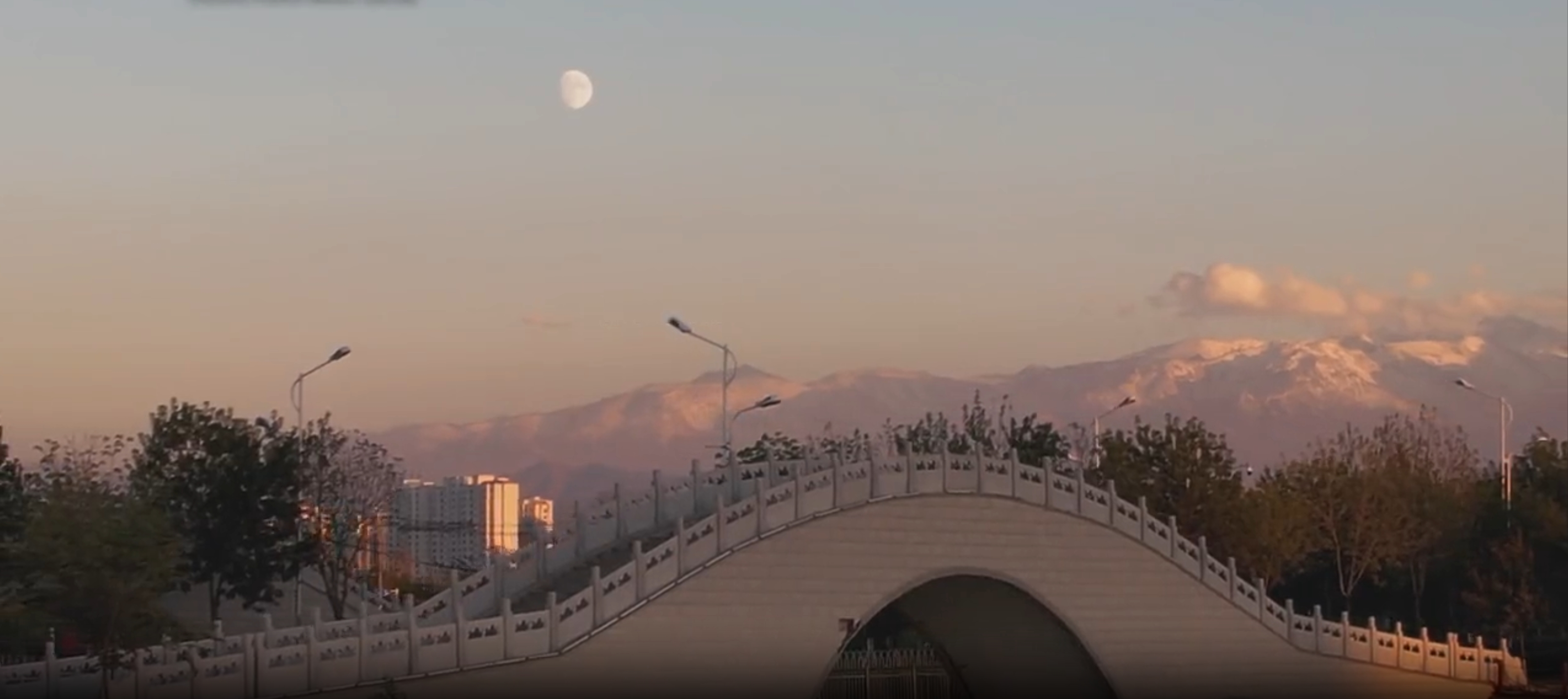 澳门十大正规网站