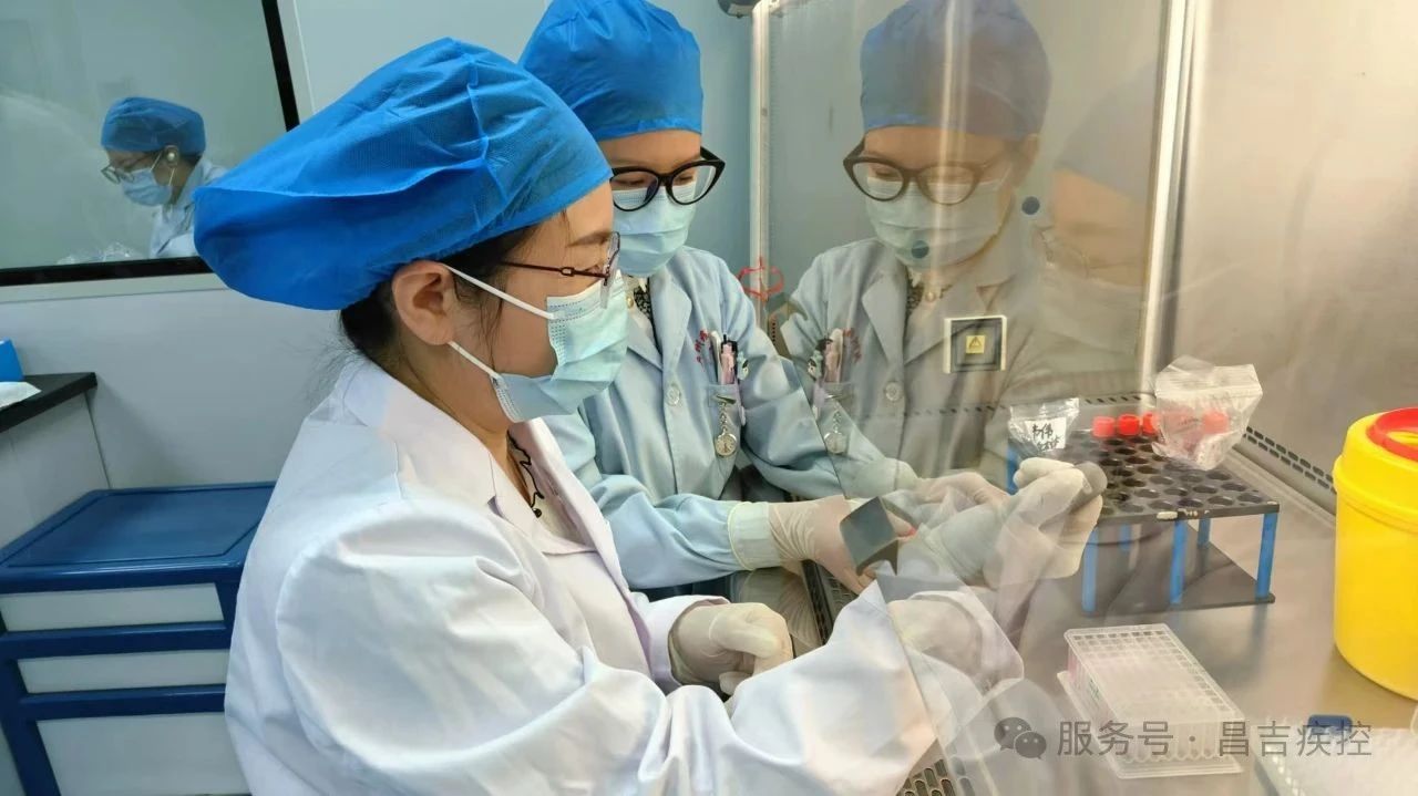 澳门十大正规网站