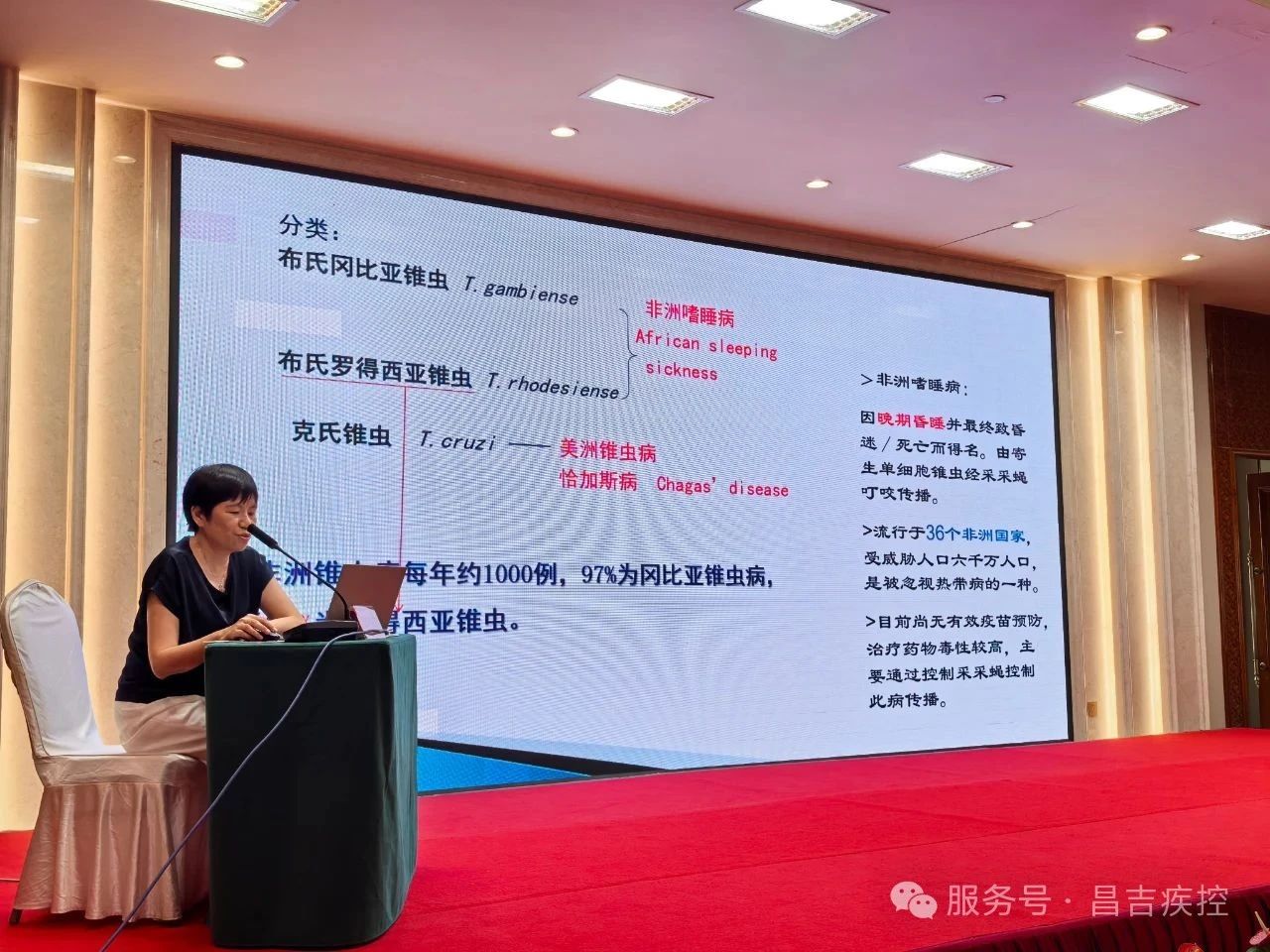 澳门十大正规网站